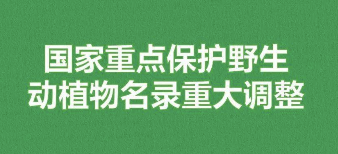 重磅！新版國(guó)家重點(diǎn)保護(hù)野生植物名錄公布，58種/屬列入一級(jí)保護(hù)，值得收藏